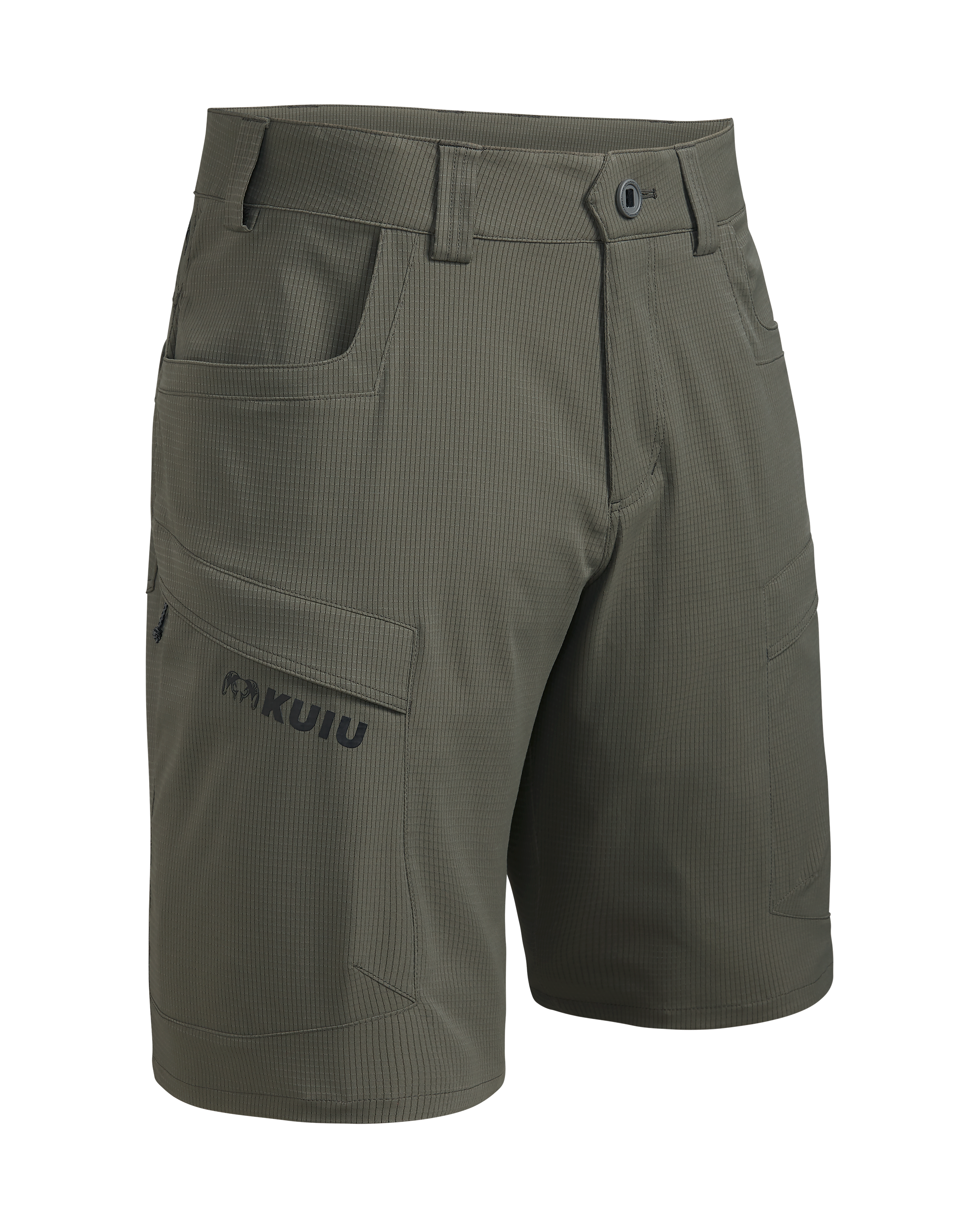 Tiburon 10″ Short | Ash